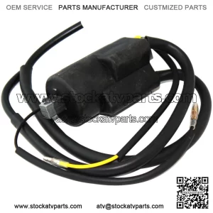 21121-1174 211211174 Ignition Coil for Kawasaki Double Line