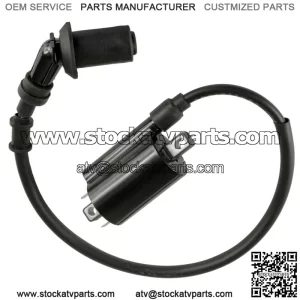 Ignition Coil w/ Spark Plug Boot & Wire For Polaris RZR 170 2015-2021 0455029 (For: Polaris)
