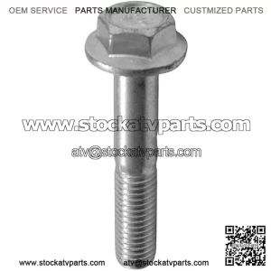 Bolt M10/1.25x55mm SFA 600 / SFA 1000