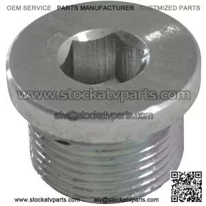 Screw, Oil Pressure Relief Valve Plug SFA 1000