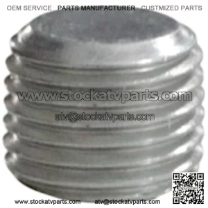 Blanking Plug M10/1 150166090010