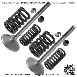 12004-1082 12005-1093 12007-1001 Intake & Exhaust Valve Kit For Kawasaki