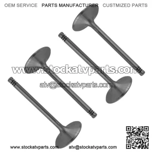 Intake & Exhaust Valve for Sea-Doo GTR 230 2018-2021 / Qty 4