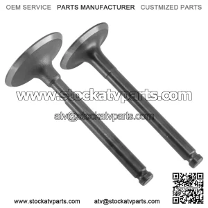 Exhaust & Intake Valve For John Deere M120241 M150551 M120264 12004-2116 NEW