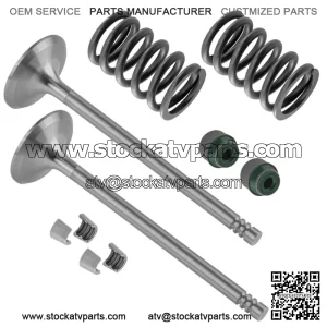 2x Exhaust Valve Kit for Can-Am CanAm Outlander Max 800 2007-2008 / 420254368