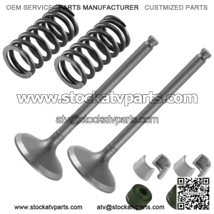 2x Exhaust Valve Kit for Yamaha WR450F 2007 2008 2009 2011 2012 2013 2014 2015