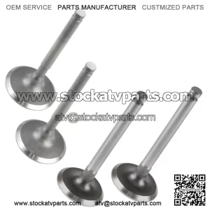 Exhaust & Intake Valve for Kawasaki Mule 3000 KAF620G 2007-2008 / 12005-2093