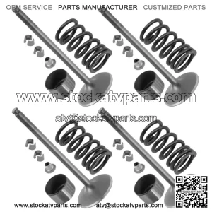 3022415 7043919 3610212 7081470 3022443 Intake Valve Kit For Polaris