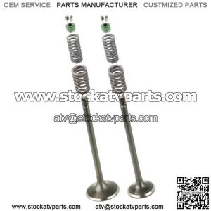 Cylinder Head Intake Exhaust Valve Kit for Honda XR200 XR200R 1980-2002