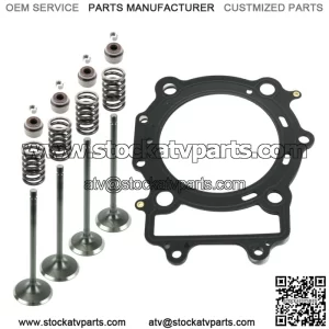 Cylinder Head Intake Exhaust Valve Kit for Arctic Cat 650 4X4 H1 2005-2011