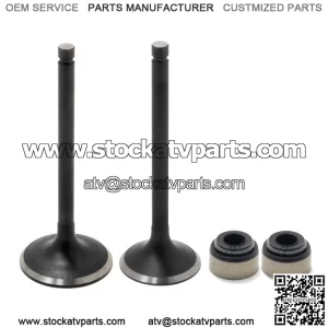 Intake Exhaust Valves & Seals Kit For Yamaha Kodiak 400 450 / Rhino 450 / Wolverine 450 / Grizzly 400 450