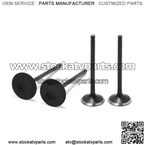 Intake & Exhaust Valves for Yamaha Raptor 700 / Rhino 700 / Viking 700 / Kodiak 700 / Grizzly 700
