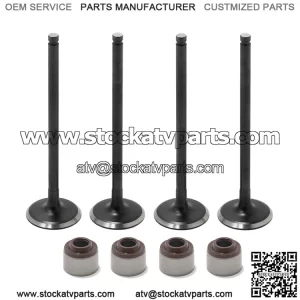 Exhaust Valves Seals Kit for Kawasaki TERYX 2014-2023 12005-0047