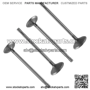 Exhaust & Intake Valve for Polaris Sportsman 800 EFI 2005-2014 (For: Polaris Sportsman 800)