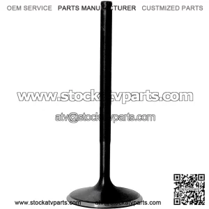 Intake valve SFA 1000