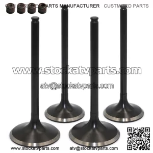 For Suzuki 2003-2013 LTZ400 Quadsport Z400 LT-Z400 Intake Exhaust Valves