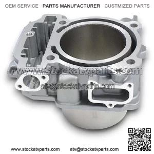 Bare Cylinder, Rear, SFA 1000