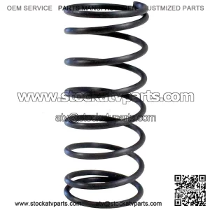 Gear Shift Spring SFA 1000