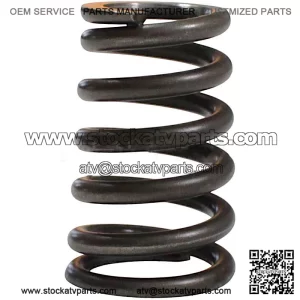 Valve Spring SFA 1000