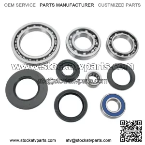 Honda TRX250 FourTrax ATV Rear Differential Bearing Kit 1985-1987