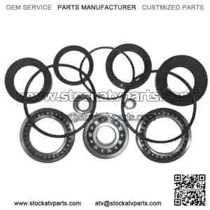 REAR DIFFERENTIAL BEARING & SEAL KIT HONDA FOURTRAX TRX300FW 1988-2000 4WD 2WD (For: Honda)