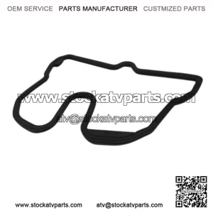 GASKET 420250900