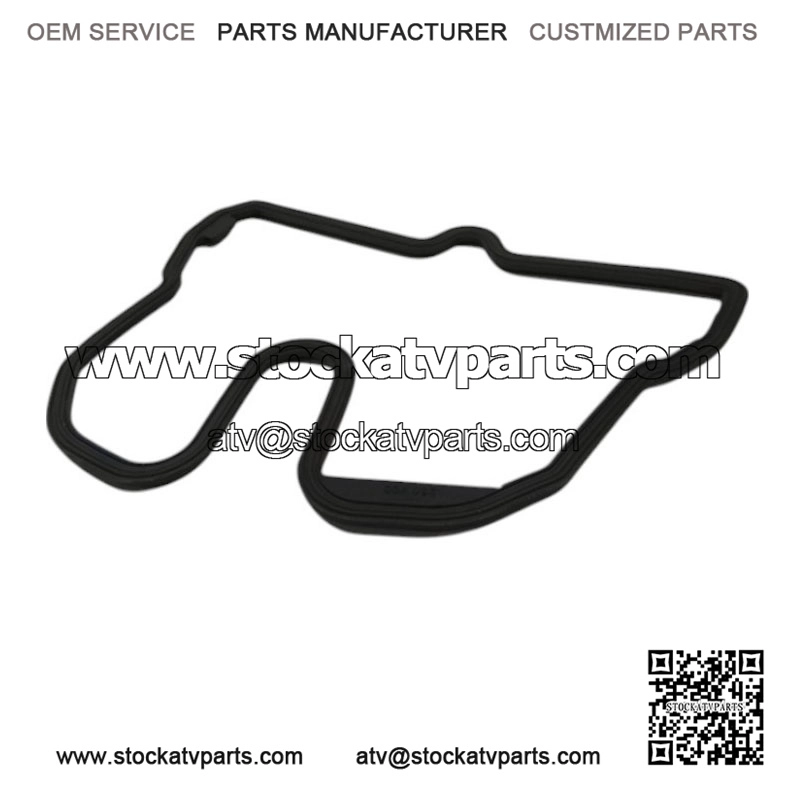 GASKET 420250900