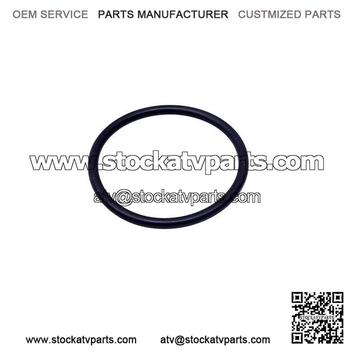 O-Ring 293300059