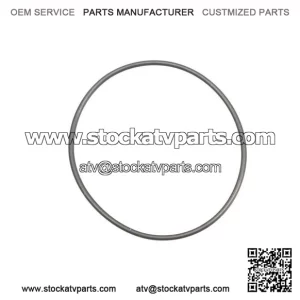 O-Ring 420831160, P420831160