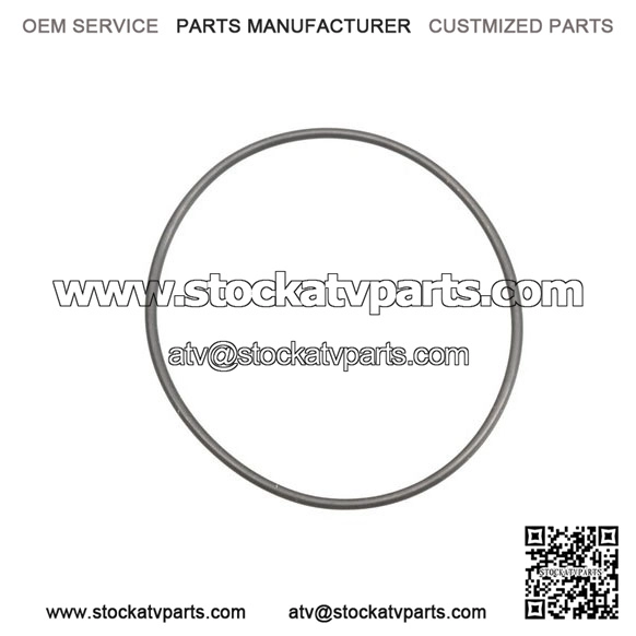 O-Ring 420831160, P420831160