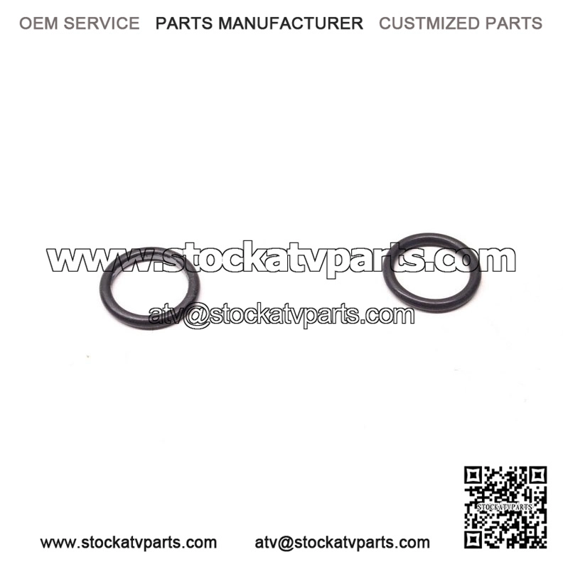 O-Ring 293300064