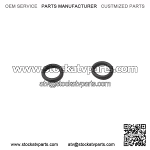 O-Ring 420250290