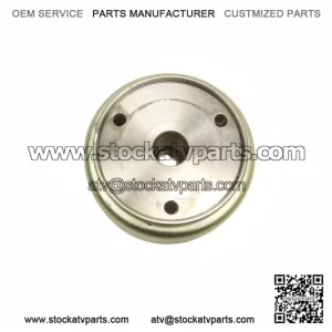 Housing Magneto Rotor Sprag Clutch 420259480 39981 for Can-Am Rally 175 06