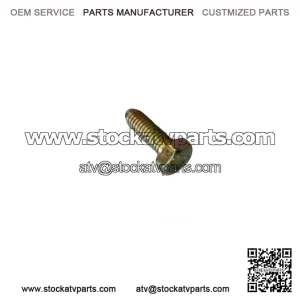OEM Hex Screw 207161844 for 2001-07 Can-Am DS