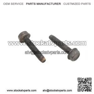 Hex Flange Screws M6x30 210263080