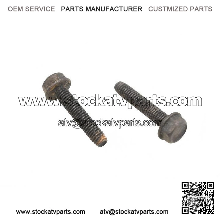 Hex Flange Screws M6x30 210263080