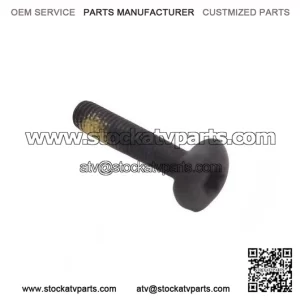 Torx Screw M5x25 250000300