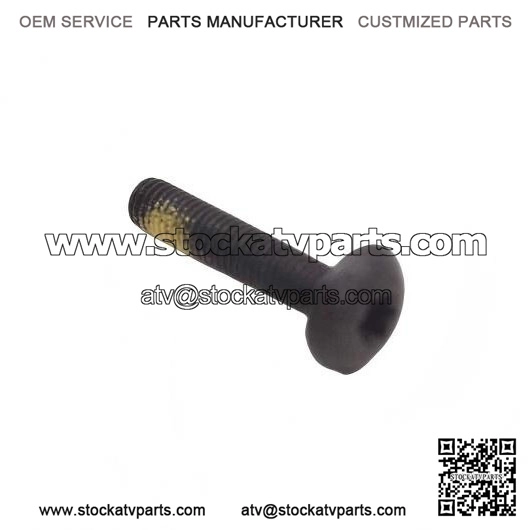Torx Screw M5x25 250000300