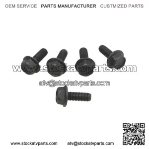 Hex Flange Screws 207661684, P207661684