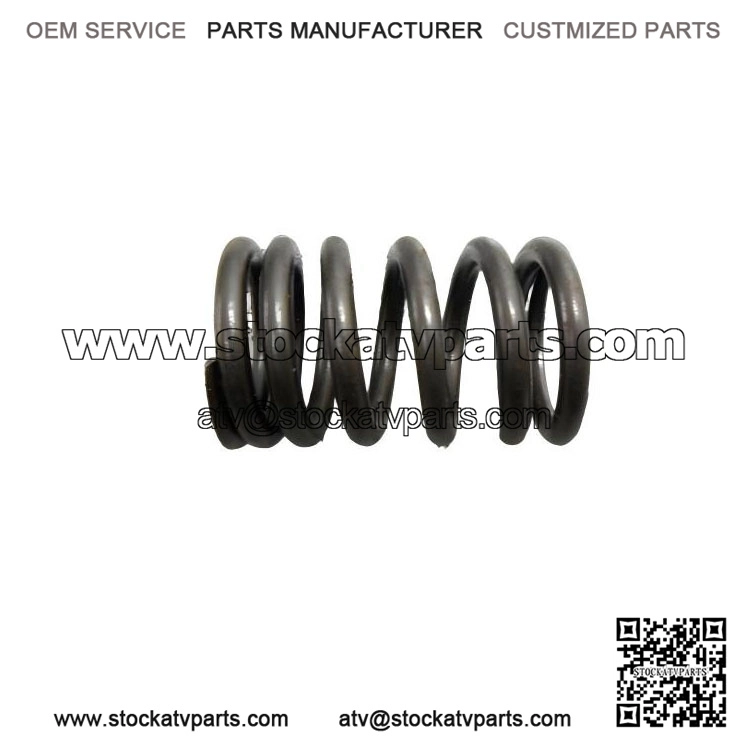 Valve Spring 420239360 Bombardier Rally 175